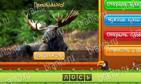 ответы на игру Угадай животных в одноклассниках Уровень 152