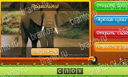 Помощь на игру ВК Угадай животных Уровень 155