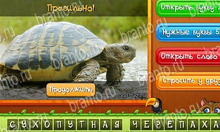 Угадай животных игра ответы в одноклассниках Уровень 158