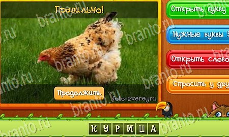 Одноклассники Угадай животных ответы Уровень 159