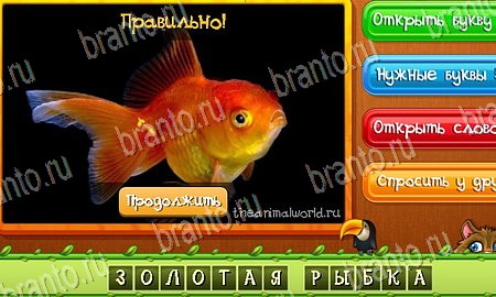 Угадай животных подсказки в контакте Уровень 160