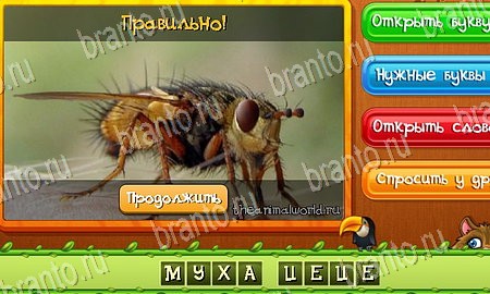 решебник на игру Угадай животных Уровень 162