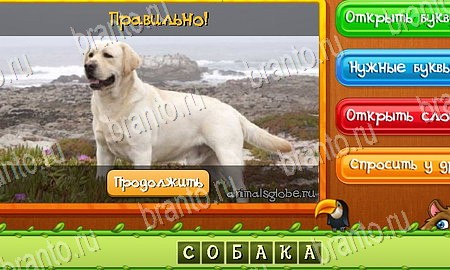 Угадай животных игра в контакте подсказки Уровень 165