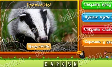 Угадай животных игра в одноклассниках помощь Уровень 166