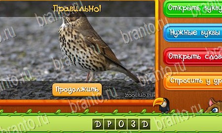 Угадай животных ответы в картинках в контакте Уровень 167