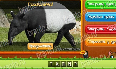 Игра Угадай животных ответы одноклассники, вк Уровень 168