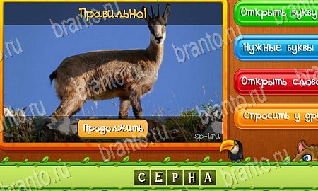 игра Угадай животных ответы в одноклассниках на Уровень 171