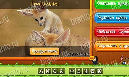 решебник на игру Угадай животных Уровень 172