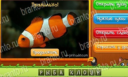 Угадай животных игра из одноклассников решения Уровень 173