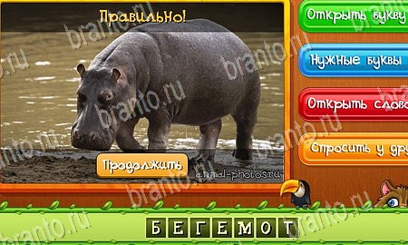 Угадай животных игра ответы ВК Уровень 174