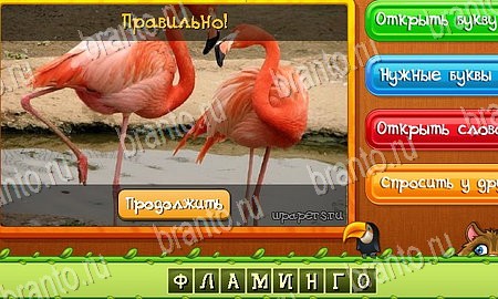 Подсказки на игру Угадай животных Эпизод 8 Уровень 178