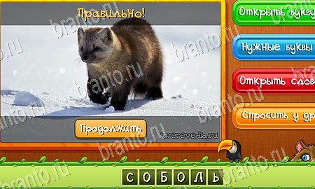ответы к игре Угадай животных в контакте Уровень 181