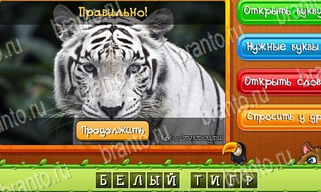 Угадай животных игра ответы в одноклассниках Уровень 183
