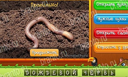 решебник на игру Угадай животных Уровень 187