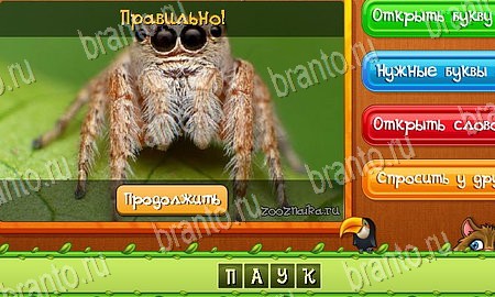 Угадай животных игра в контакте подсказки Уровень 190