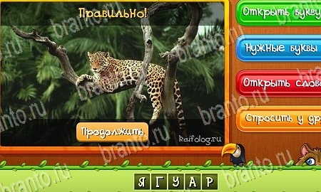 Угадай животных игра в одноклассниках помощь Уровень 191