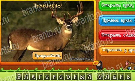 Игра Угадай животных подсказки вк Уровень 194