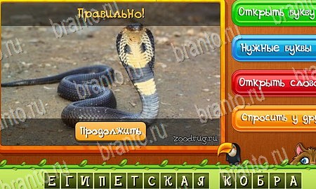 игра Угадай животных помощь одноклассники Уровень 195