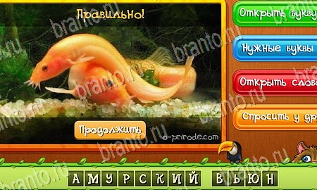 игра Угадай животных ответы в одноклассниках на Уровень 196