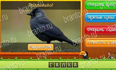 Угадай животных игра из одноклассников решения Уровень 198