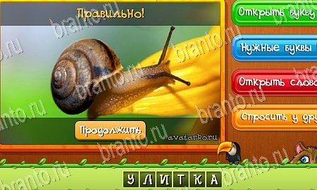 Угадай животных игра вконтакте подсказки Уровень 200