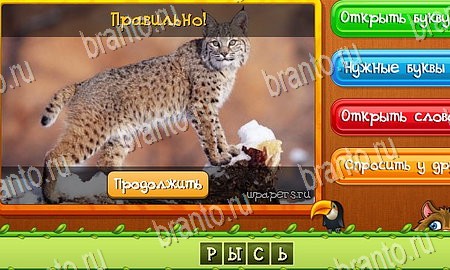 Подсказки на игру Угадай животных Эпизод 11 Уровень 253