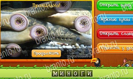 Решения на игру Угадай животных Эпизод 11 Уровень 254