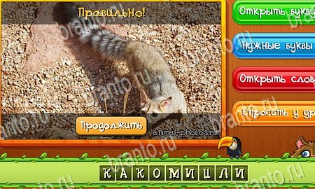 Помощь на игру ВК Угадай животных Уровень 255