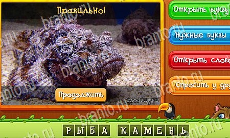 ответы на игру в одноклассниках Угадай животных Уровень 257