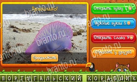 Угадай животных игра ответы в одноклассниках Уровень 258