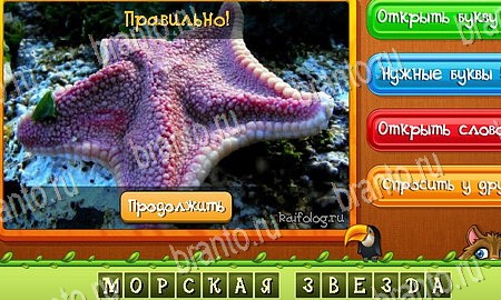 Одноклассники Угадай животных ответы Уровень 259