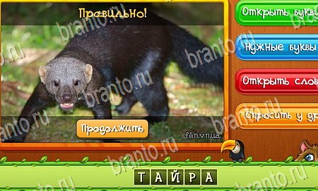 решебник на игру Угадай животных Уровень 262