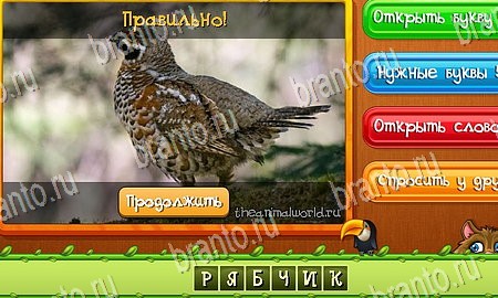 Угадай животных решения на игру из одноклассников Уровень 263