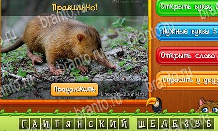 Угадай животных игра ответы на все задания Уровень 264