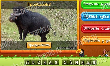 Угадай животных игра в контакте подсказки Уровень 265