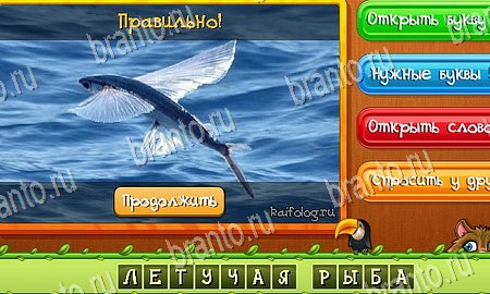 Угадай животных игра в одноклассниках помощь Уровень 266