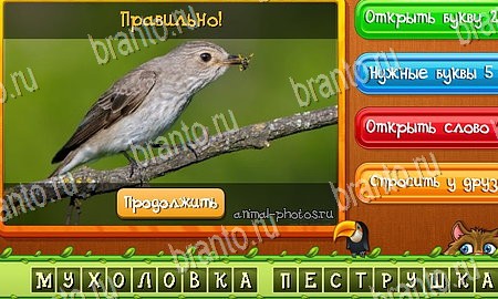 Угадай животных ответы в картинках в контакте Уровень 267