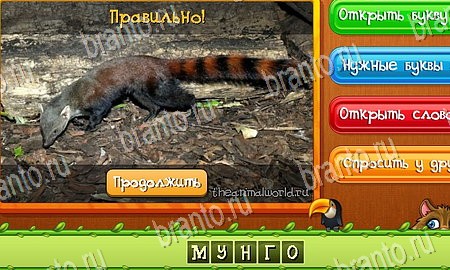 Игра Угадай животных подсказки вк Уровень 269