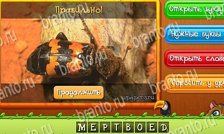 игра Угадай животных помощь одноклассники Уровень 270