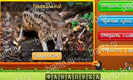 игра Угадай животных ответы в одноклассниках на Уровень 271