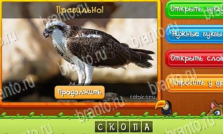 Угадай животных игра из одноклассников решения Уровень 273