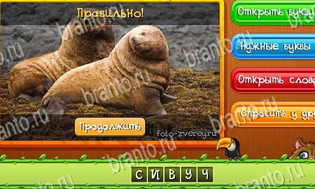 Угадай животных игра подсказки Уровень 275
