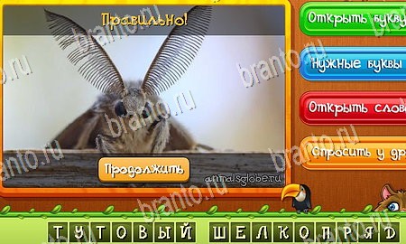 ответы на игру Угадай животных в одноклассниках Уровень 276