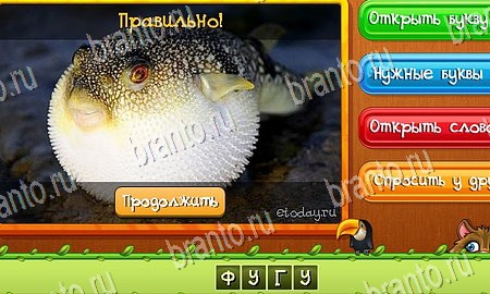 ответы на игру Угадай животных в одноклассниках Уровень 277