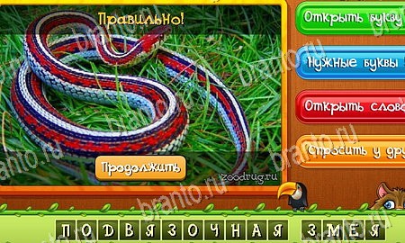 Подсказки на игру Угадай животных Эпизод 12 Уровень 278