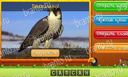 Решения на игру Угадай животных Эпизод 12 Уровень 279