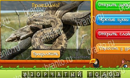 ответы к игре Угадай животных в контакте Уровень 281