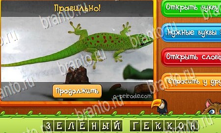 ответы на игру в одноклассниках Угадай животных Уровень 282