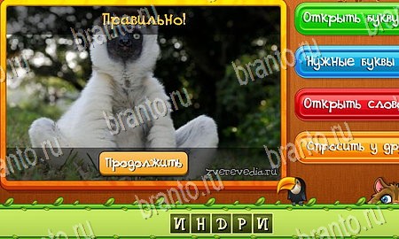 Угадай животных игра ответы в одноклассниках Уровень 283