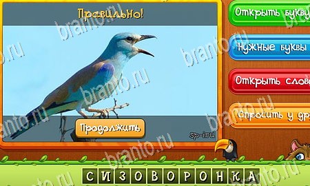 Одноклассники Угадай животных ответы Уровень 284